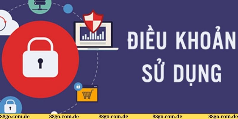 Chi tiết về điều khoản và điều kiện